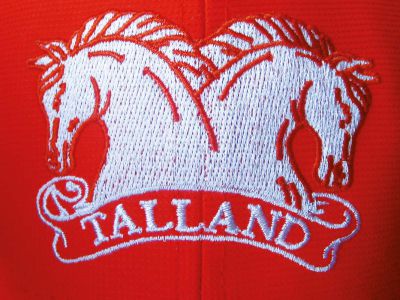 Embroidery
